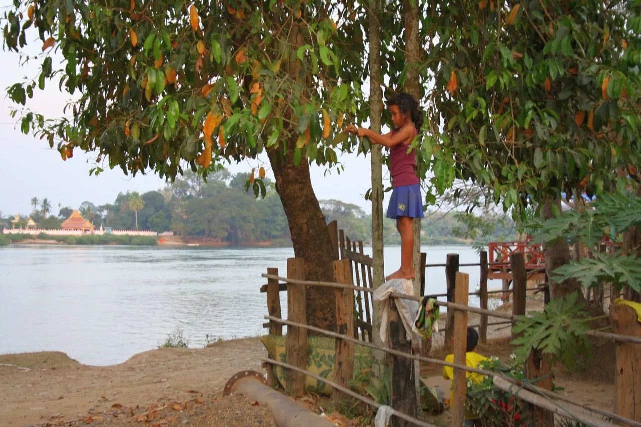 The name "4000 islands" is derived from the mega Mekong River that spreads itself out, choosing hundreds of routes and forming a vast area of river islands, possibly 4000 or more.