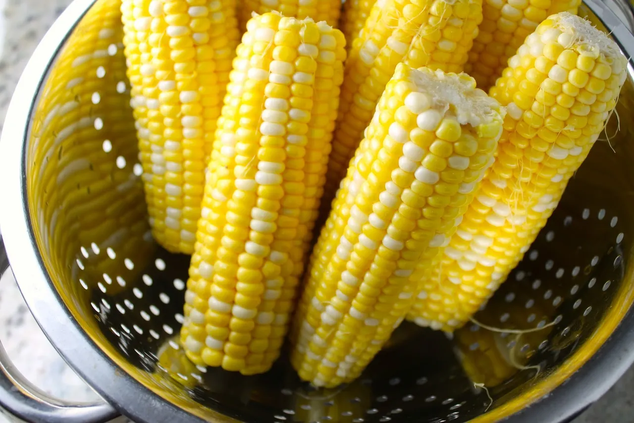 45cfd-corn2bon2bthe2bcob2bsavoir2bfaire2bby2benrilemoine-1.jpg