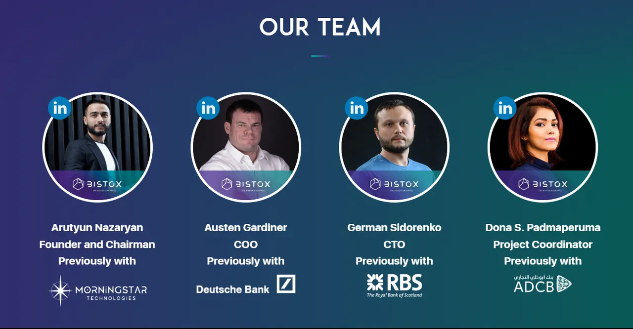Bistox team.png