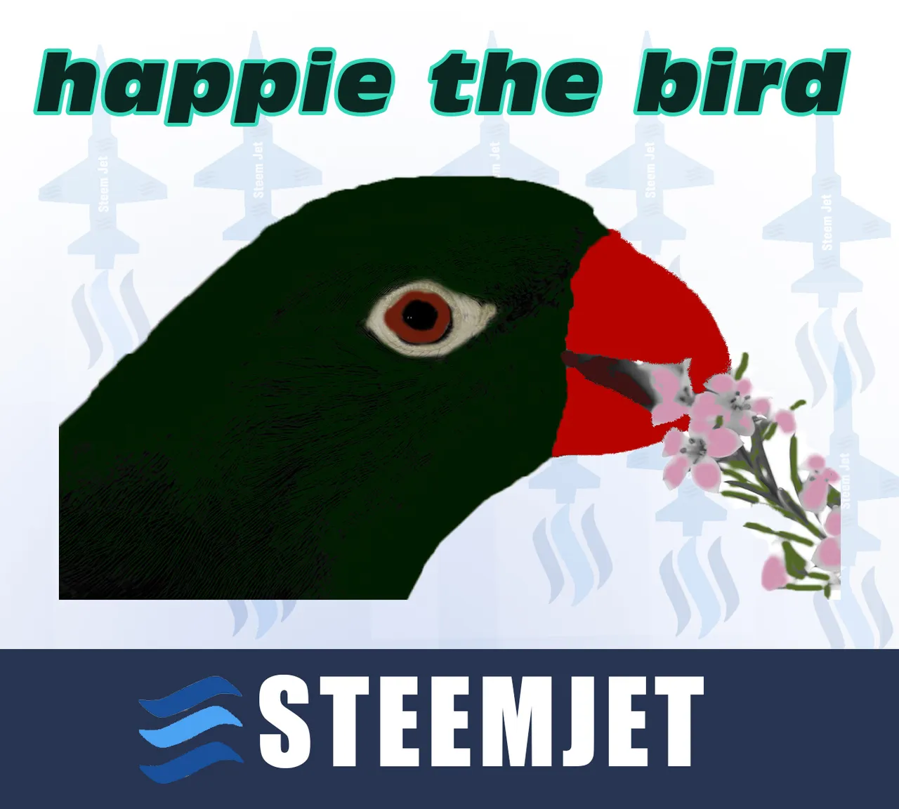 bird banner.jpg