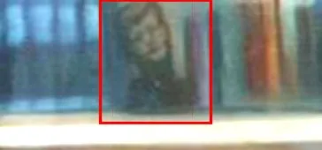 Zoom-JFK_Book.jpg