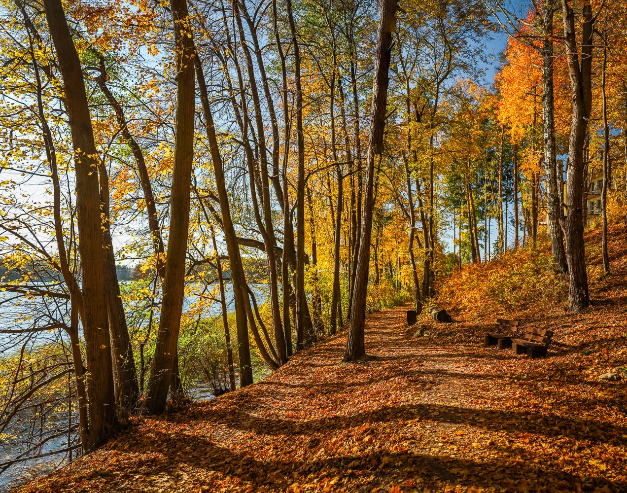 IMG_1543-Pano.jpg