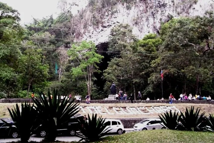 C Guacharo1.jpg