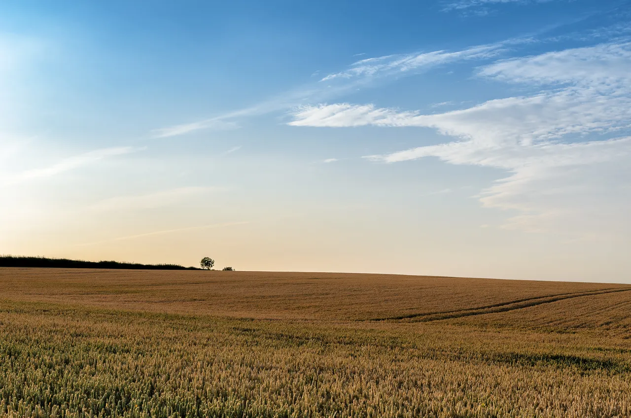 DSC_0849-Edit.jpg