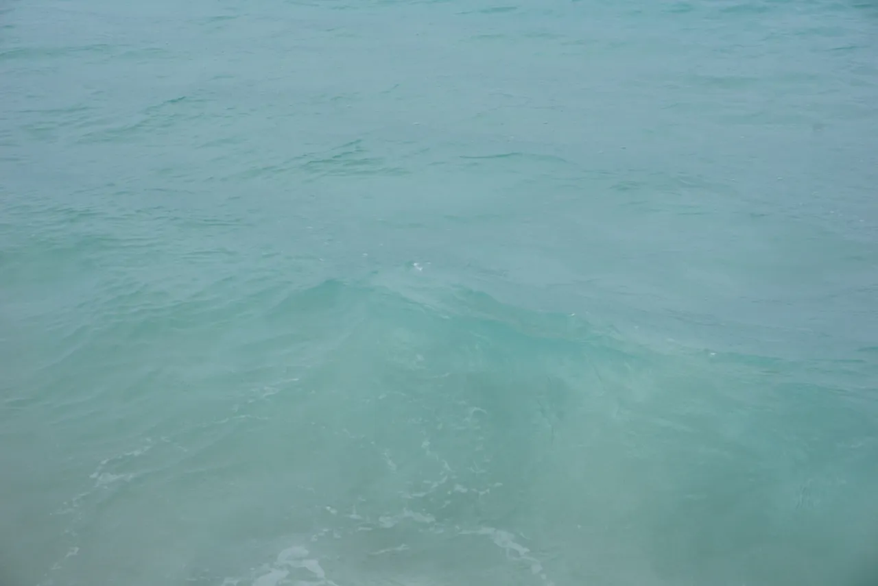 image1 (1).jpeg