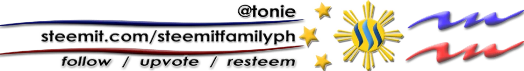 Footer_-tonie.png