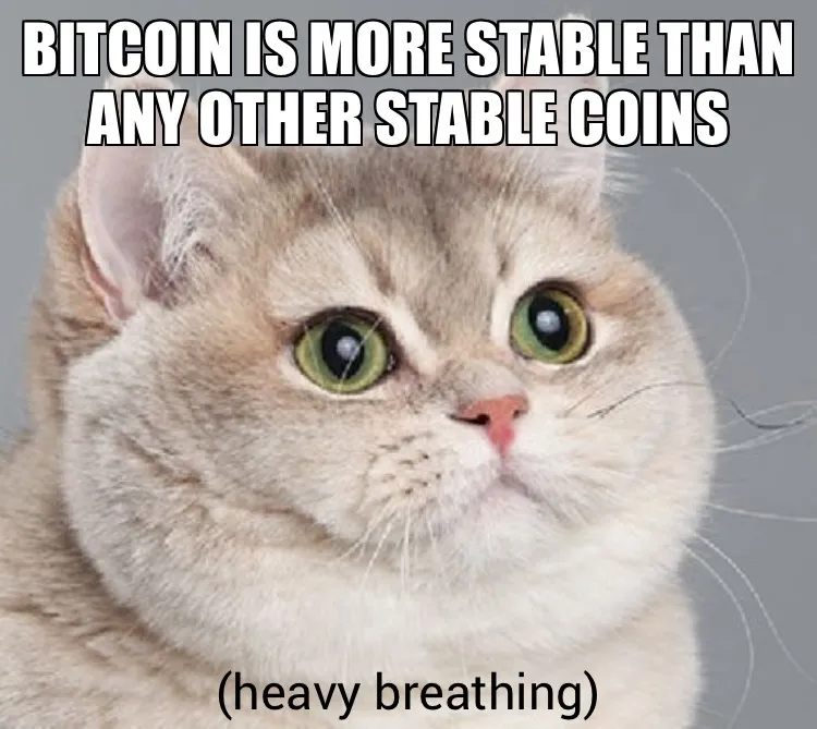 Stable Coin.JPG