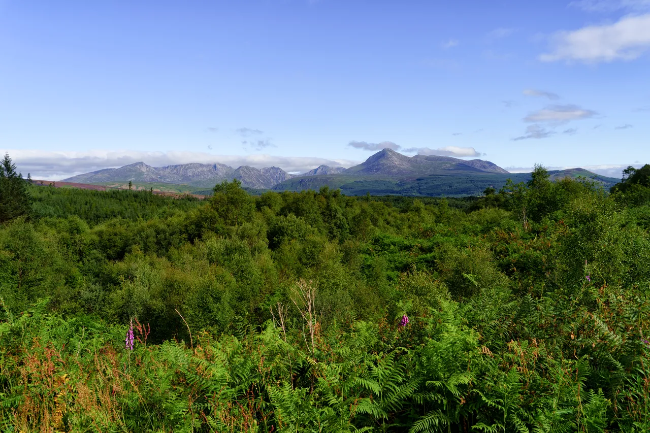 mountains