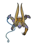 Adimarchus_01.png