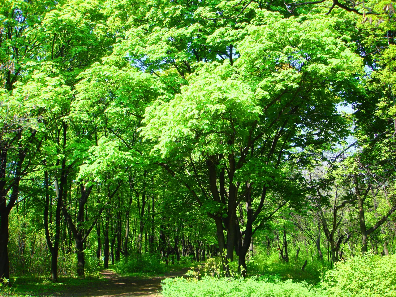 DSC0206002222.jpg