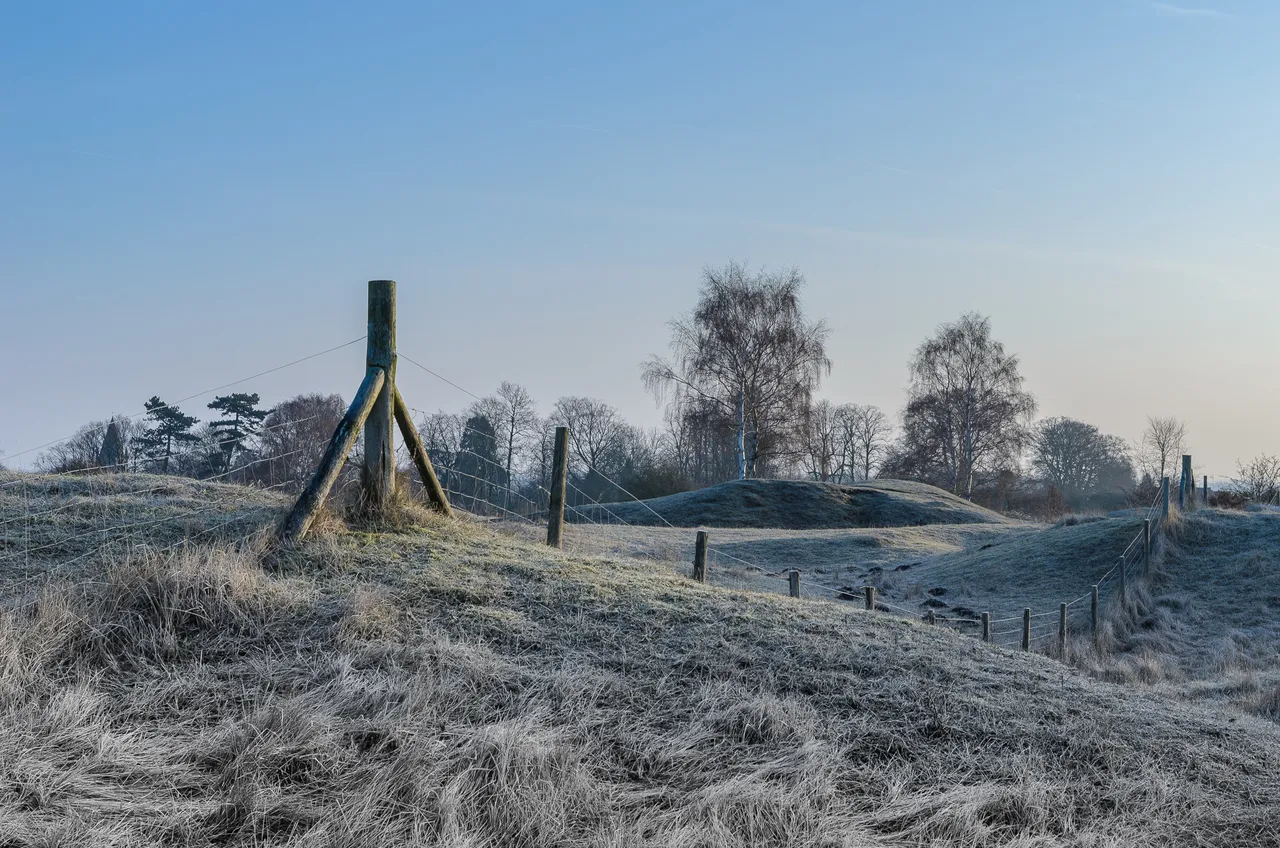 DSC_9521-Edit.jpg