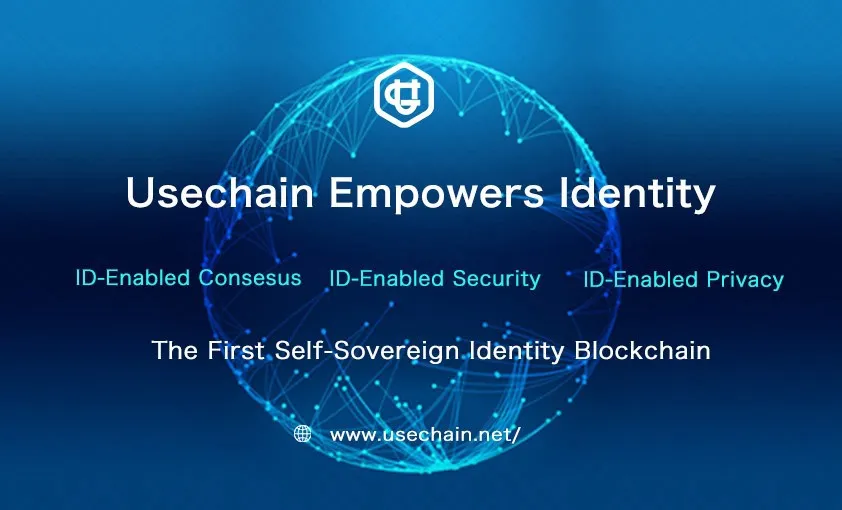 usechain p.jpeg