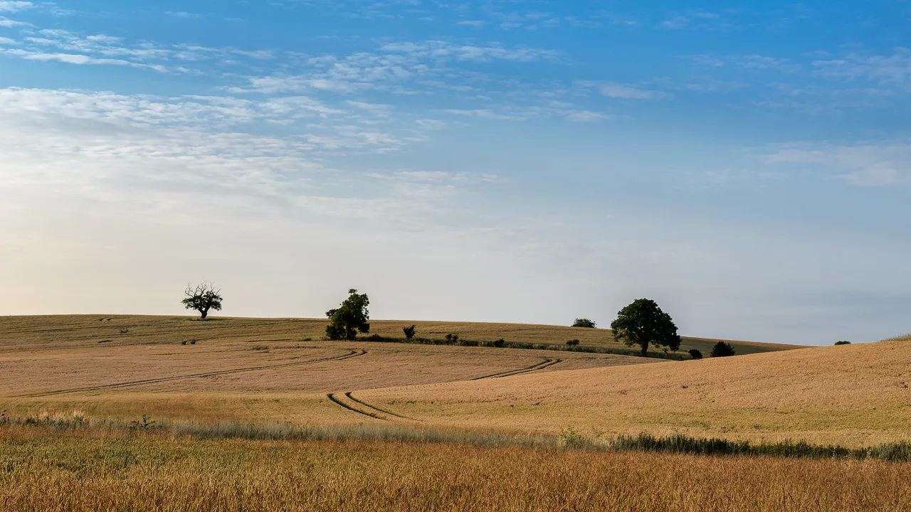 DSC_0881-Edit.jpg