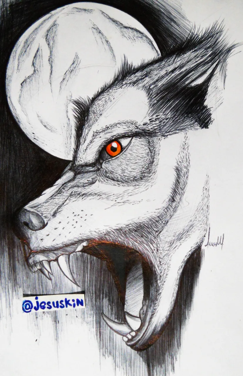 lobo finish.jpg