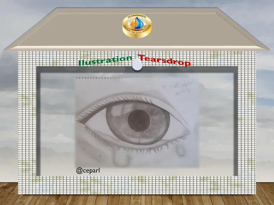 Diapositiva11.PNG