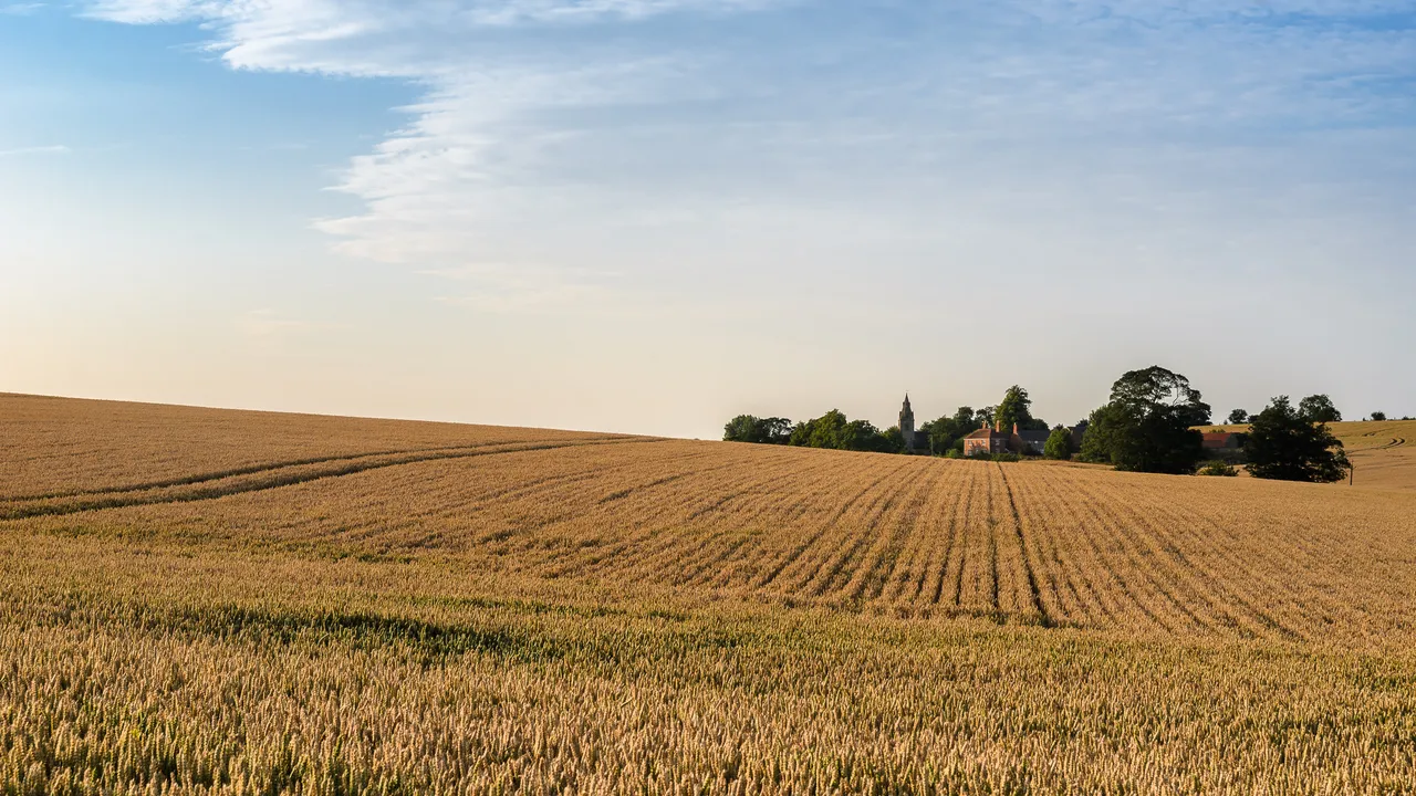 DSC_0841-Edit.jpg