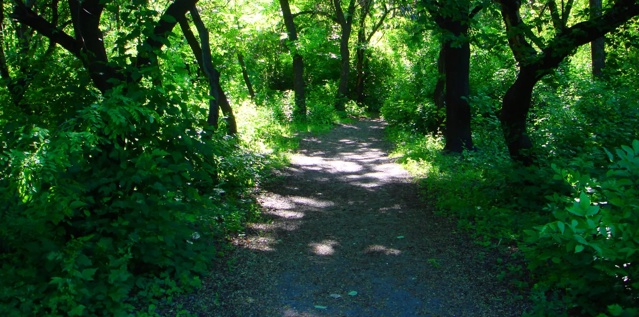 DSC01627-2222.jpg