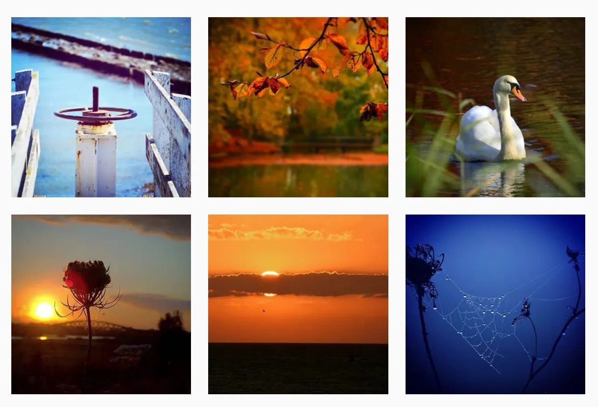 Instagram 2.PNG