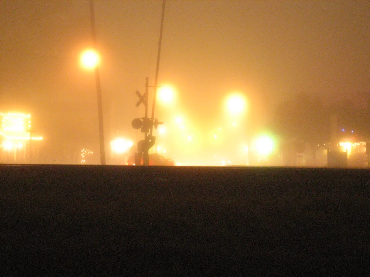 fogpics 030.jpg