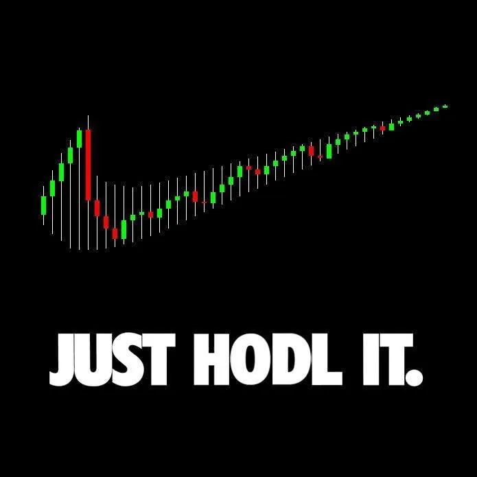 just-hodl-it