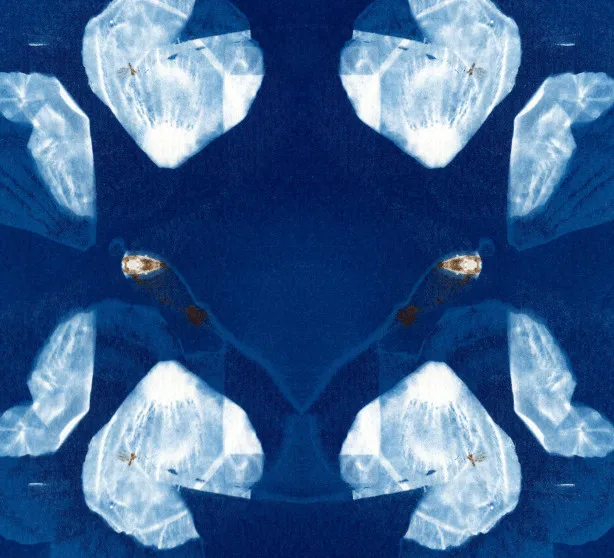 cyanmirEYECRP.jpg