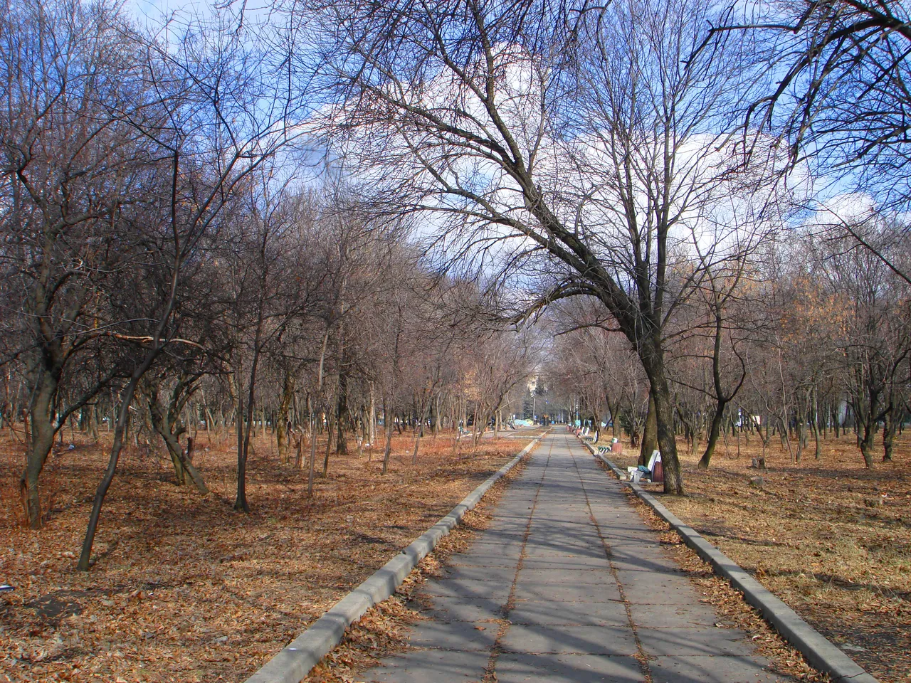 DSC01442-2222.jpg