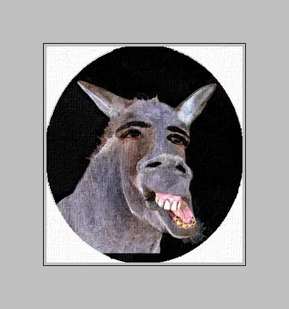RobertTheMule.jpg