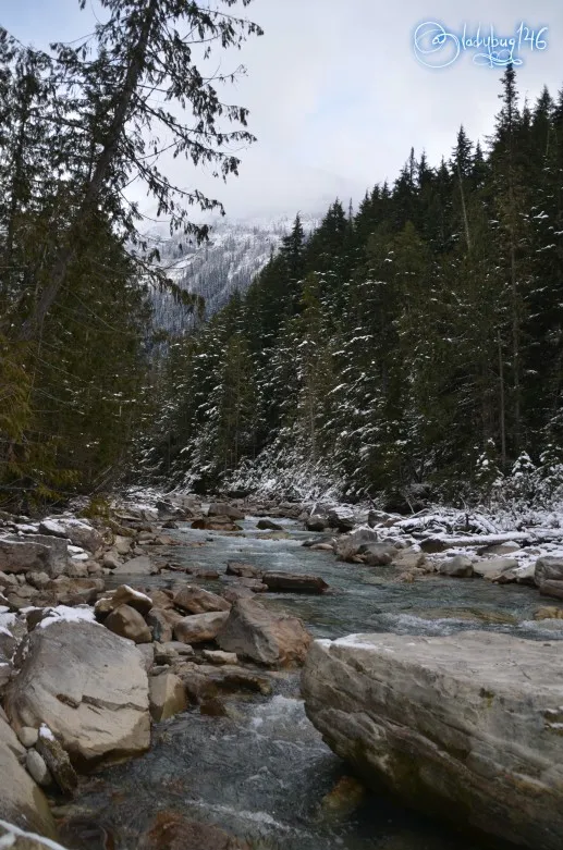 mount_robson5.jpg
