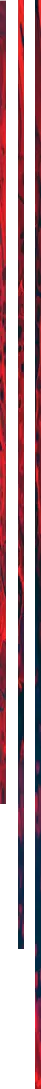lateral_right.png