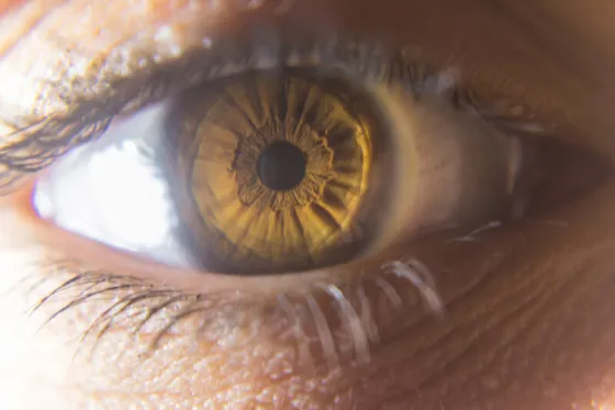 eye closeup.jpg