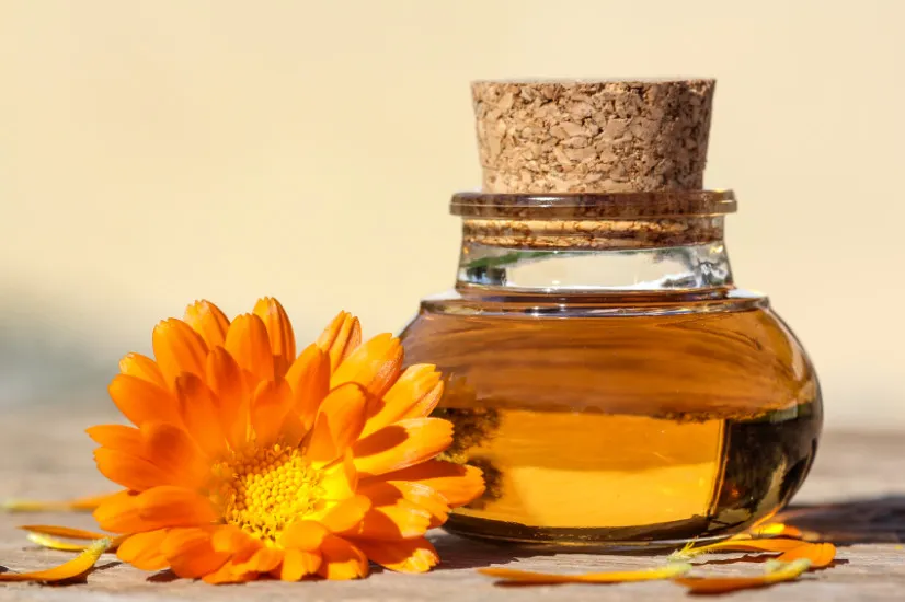 Calendula-Oil.jpg