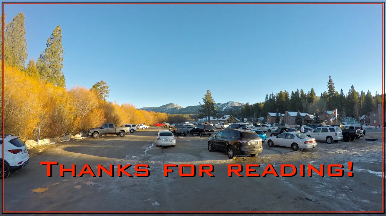 bear thanks.jpg