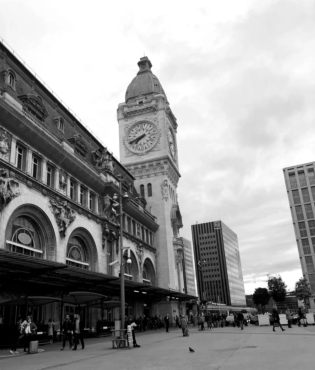 IMG3970fragBW.jpg