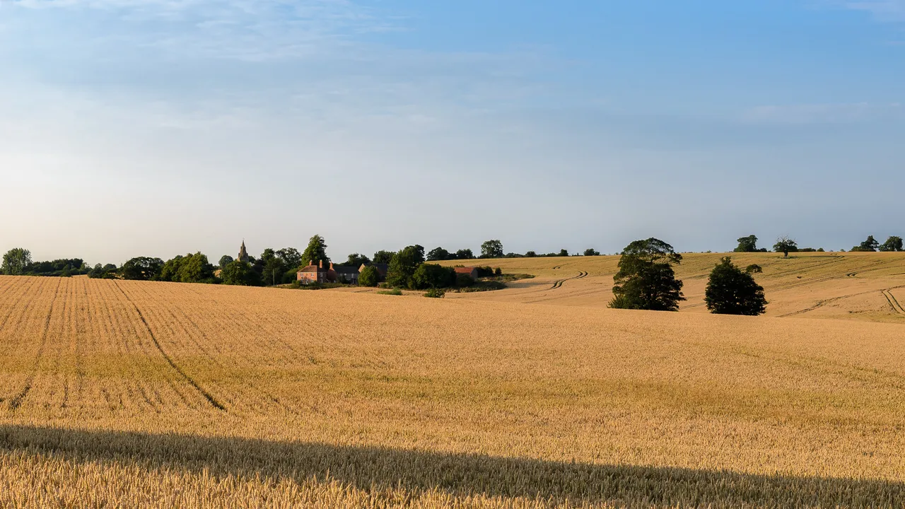 DSC_0831-Edit.jpg