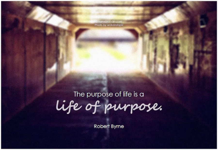 purpose_small.jpg