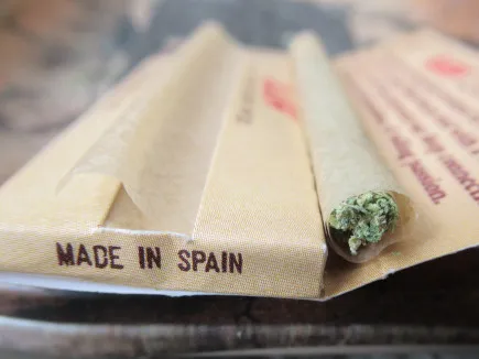 blazeready326.jpg