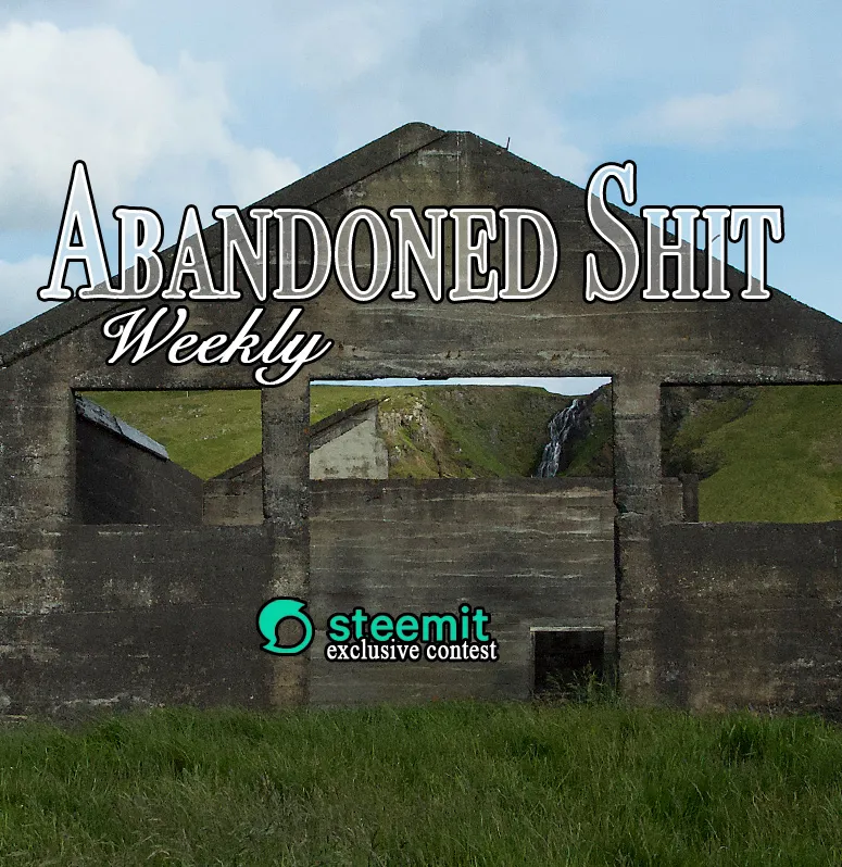 ASWwindowlogo.jpg
