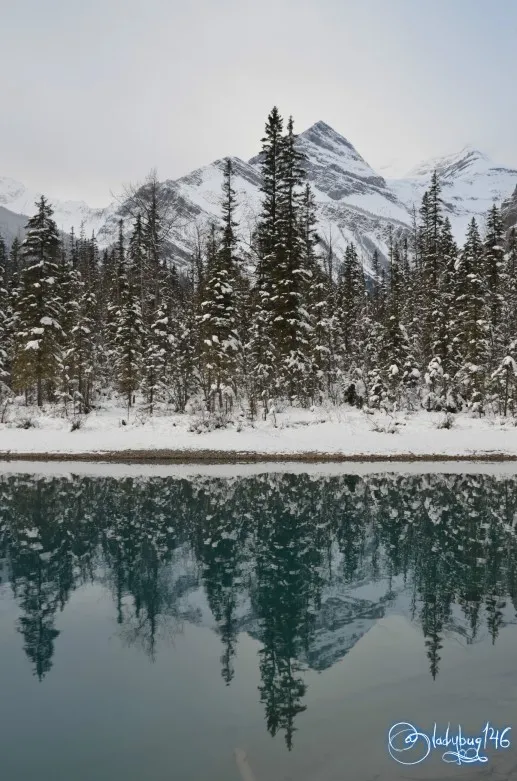 kinney_lake11.jpg