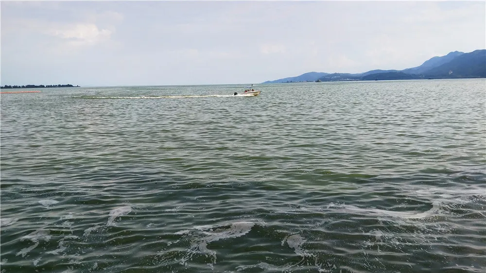 水 3.jpg