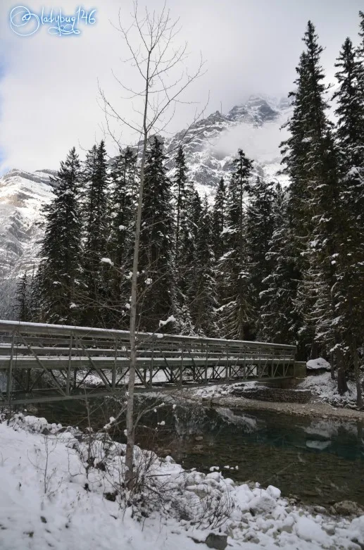 mount_robson8.jpg