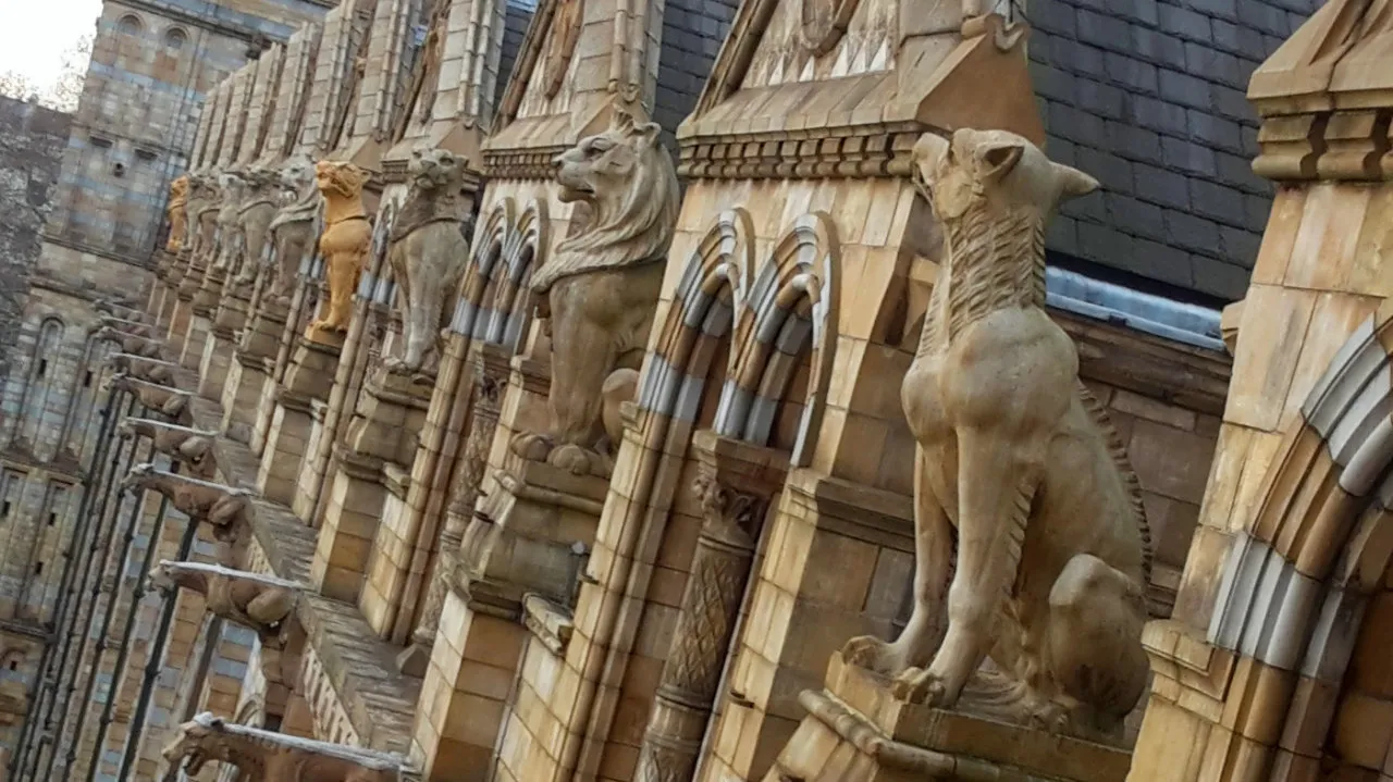 NHM Gargoyles