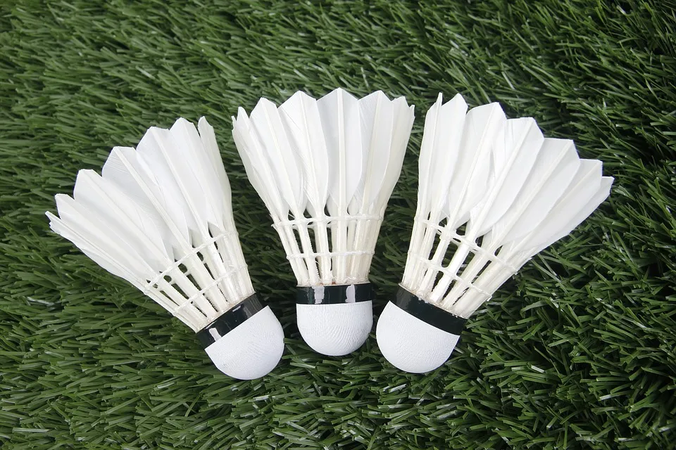 badminton 4.jpg