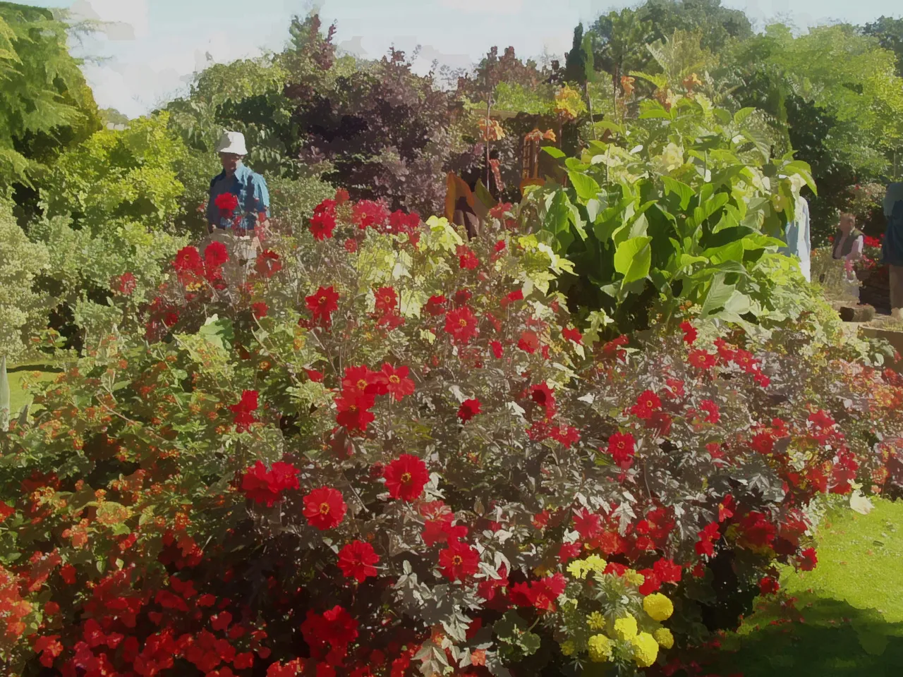 red flowers.JPG