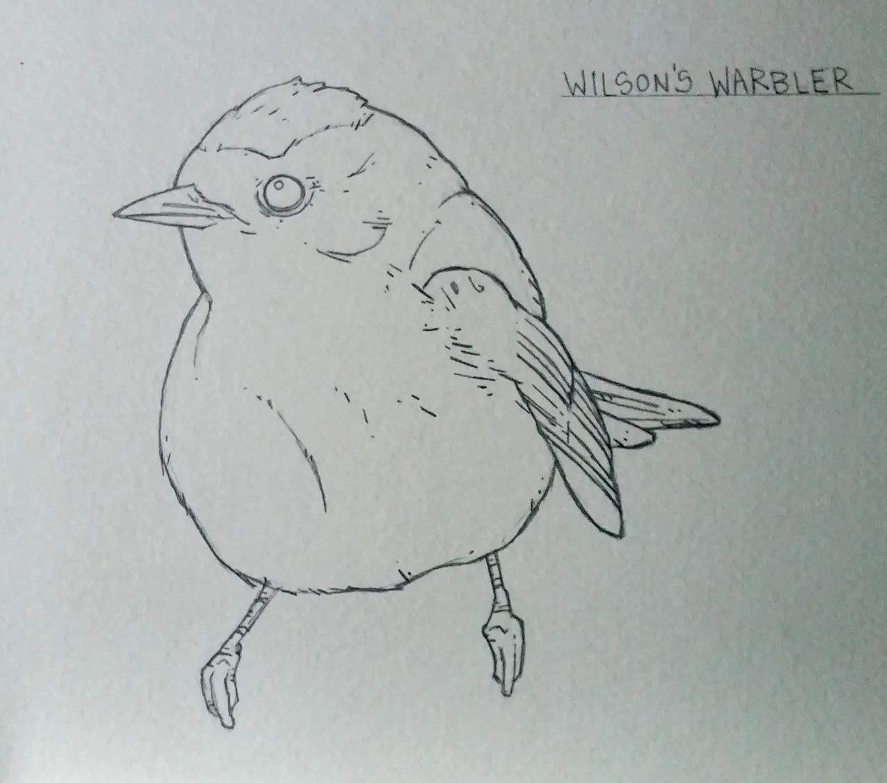 Jay sketch2.jpg