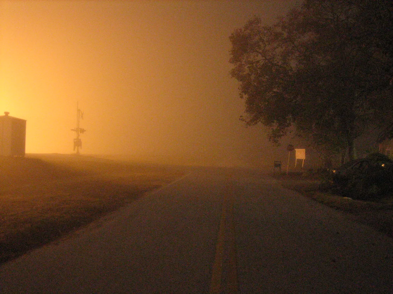 fogpics 029.jpg