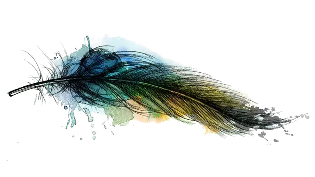 Separador (1).png