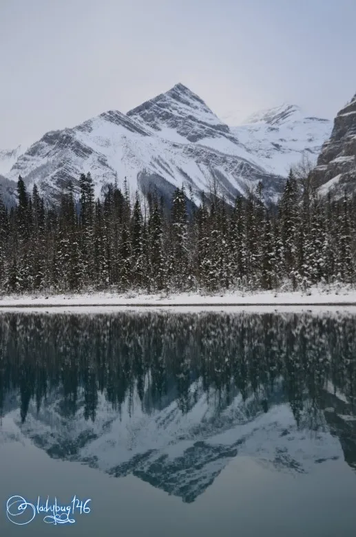 kinney_lake12.jpg