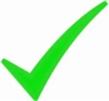 small check.jpg