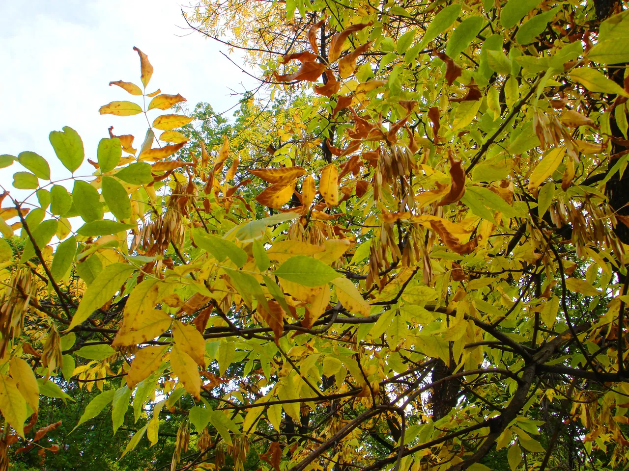 DSC01763-3333.jpg