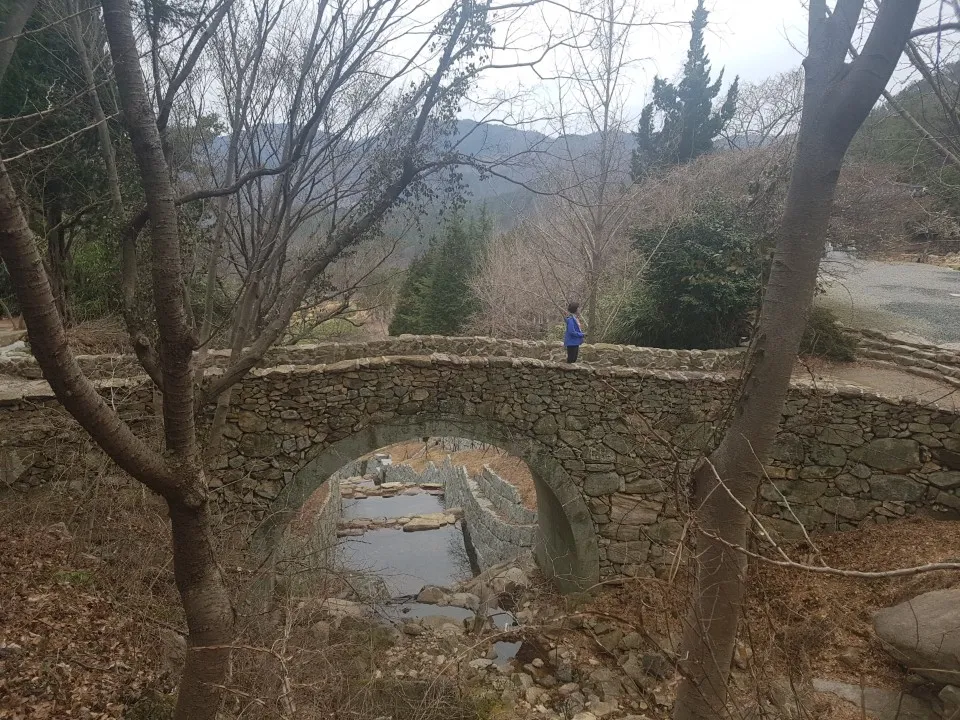 1551703611423.jpg